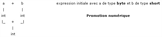Image non disponible